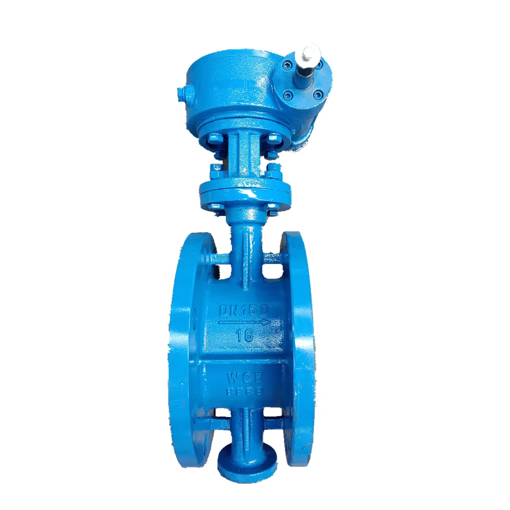 Handle Type Wcb Ductile Iron Butterfly Valve with Centerline