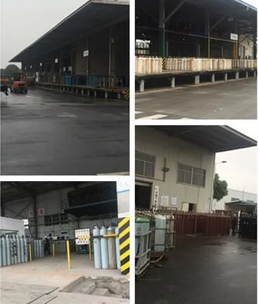 Ig541 Cylinder Sv-1b