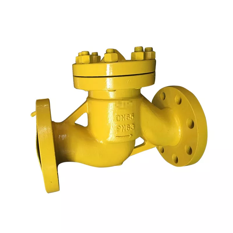 Lift Check Valve