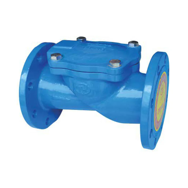 Rubber Flap Check Valve