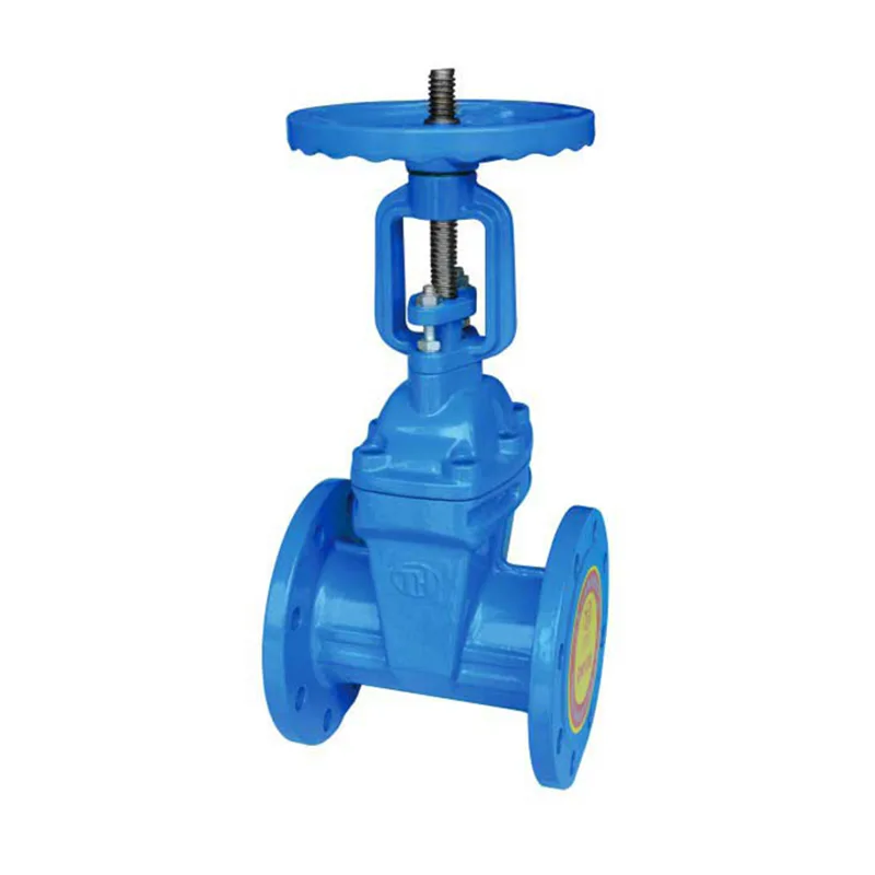 Rising Stem Flange Gate Valve