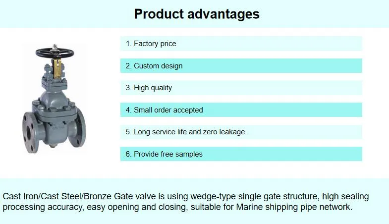JIS China Made Low Price Flange Type Marine Stainless Steel Pn25 Gate Valve