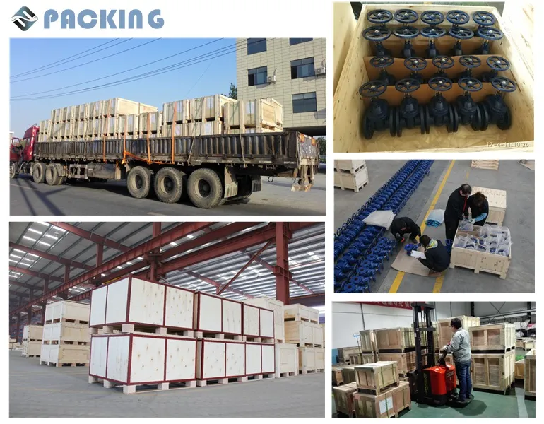 Lug Type Butterfly En593 Pn10/Pn16/Pn25/Class 125