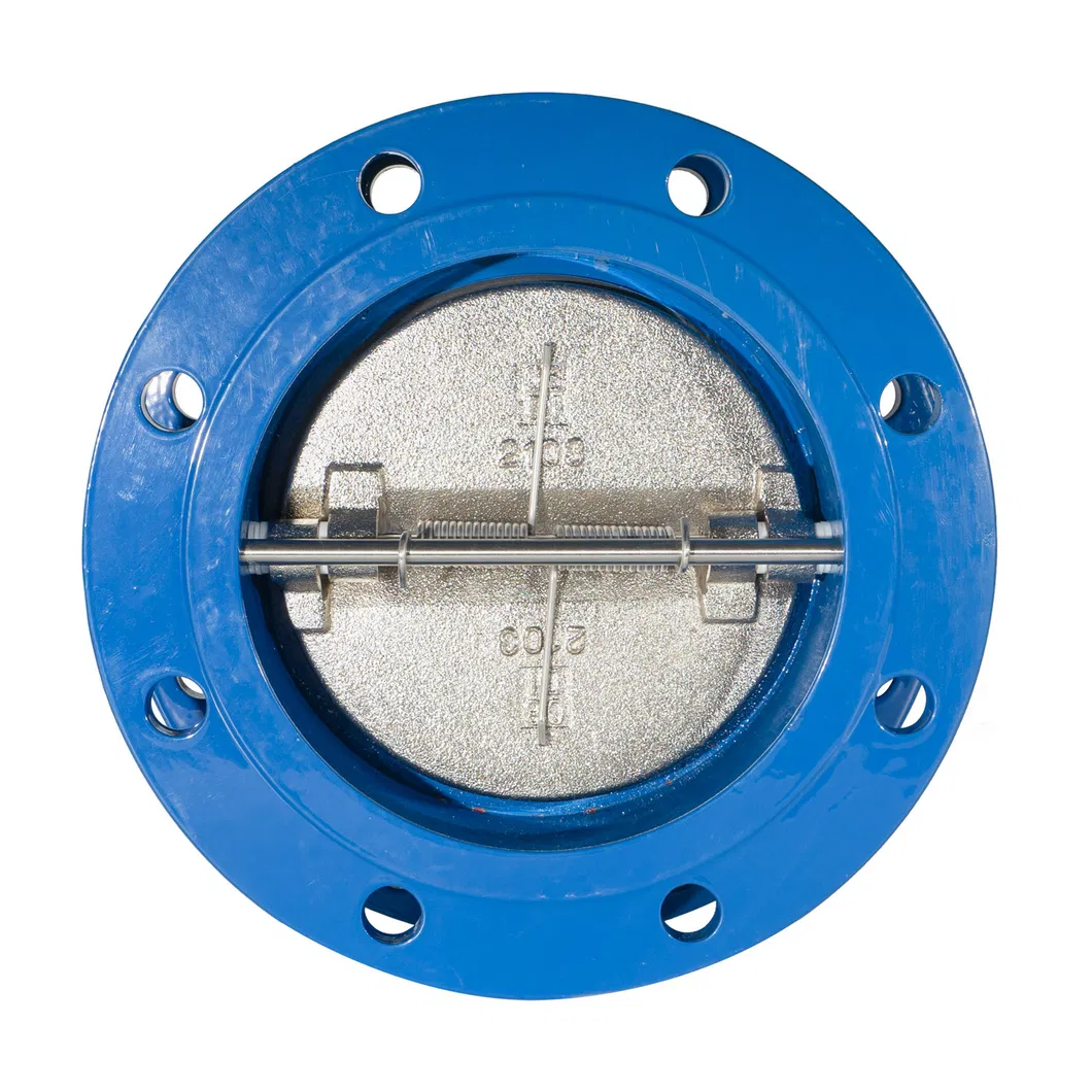 Made in China ANSI/ En1092/ JIS 10K/ BS 4504 Butterfly Check Valve