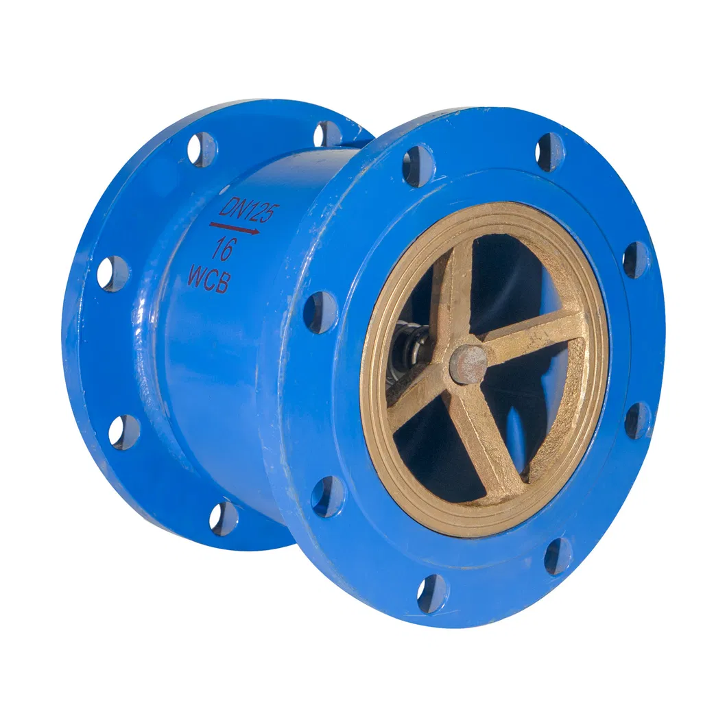 Made in China ANSI/ En1092/ JIS 10K/ BS 4504 Butterfly Check Valve
