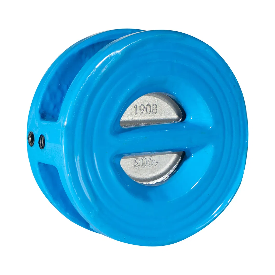Made in China ANSI/ En1092/ JIS 10K/ BS 4504 Butterfly Check Valve