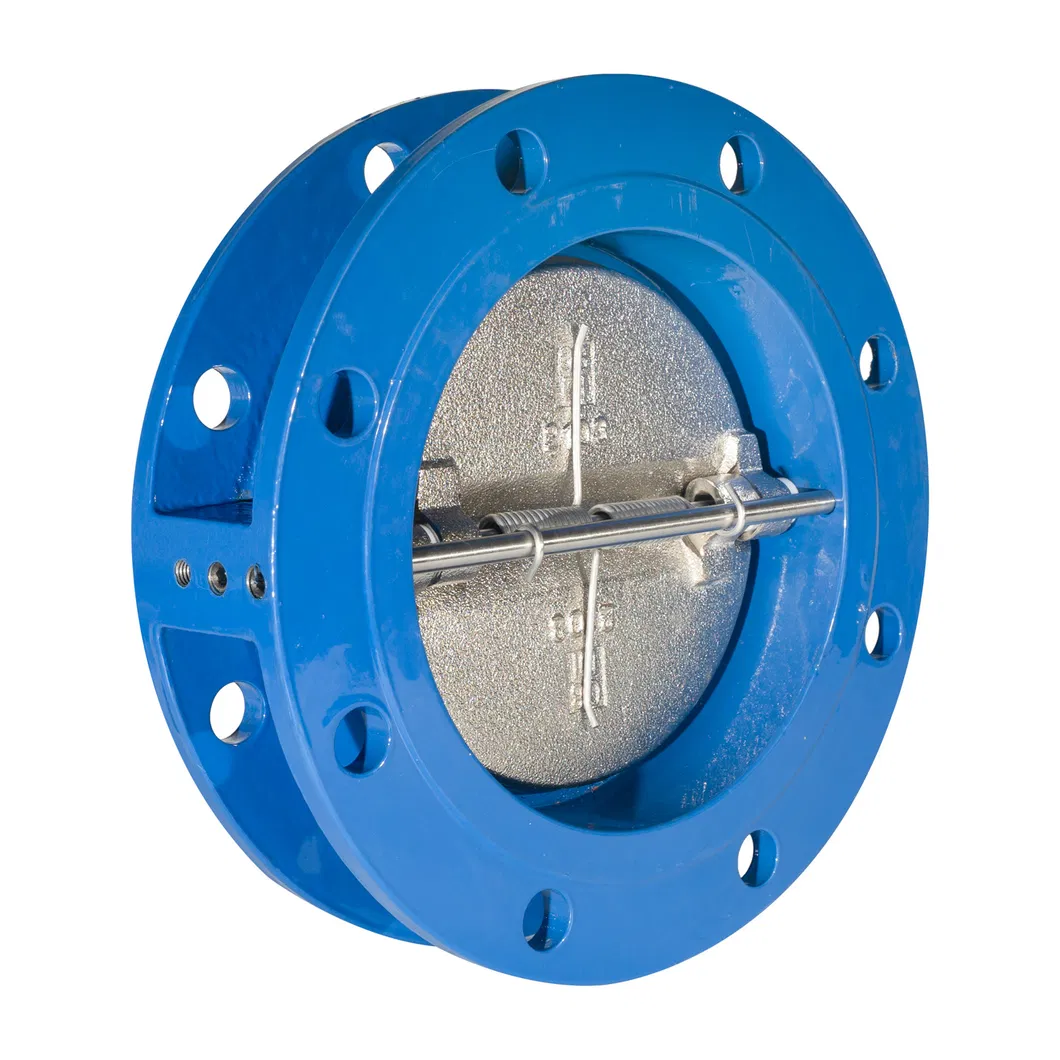 Made in China ANSI/ En1092/ JIS 10K/ BS 4504 Butterfly Check Valve