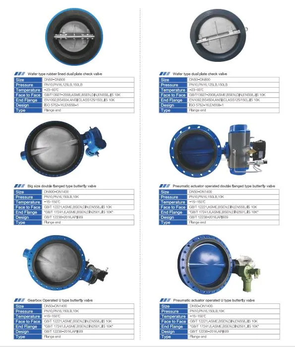 Made in China ANSI/ En1092/ JIS 10K/ BS 4504 Butterfly Check Valve