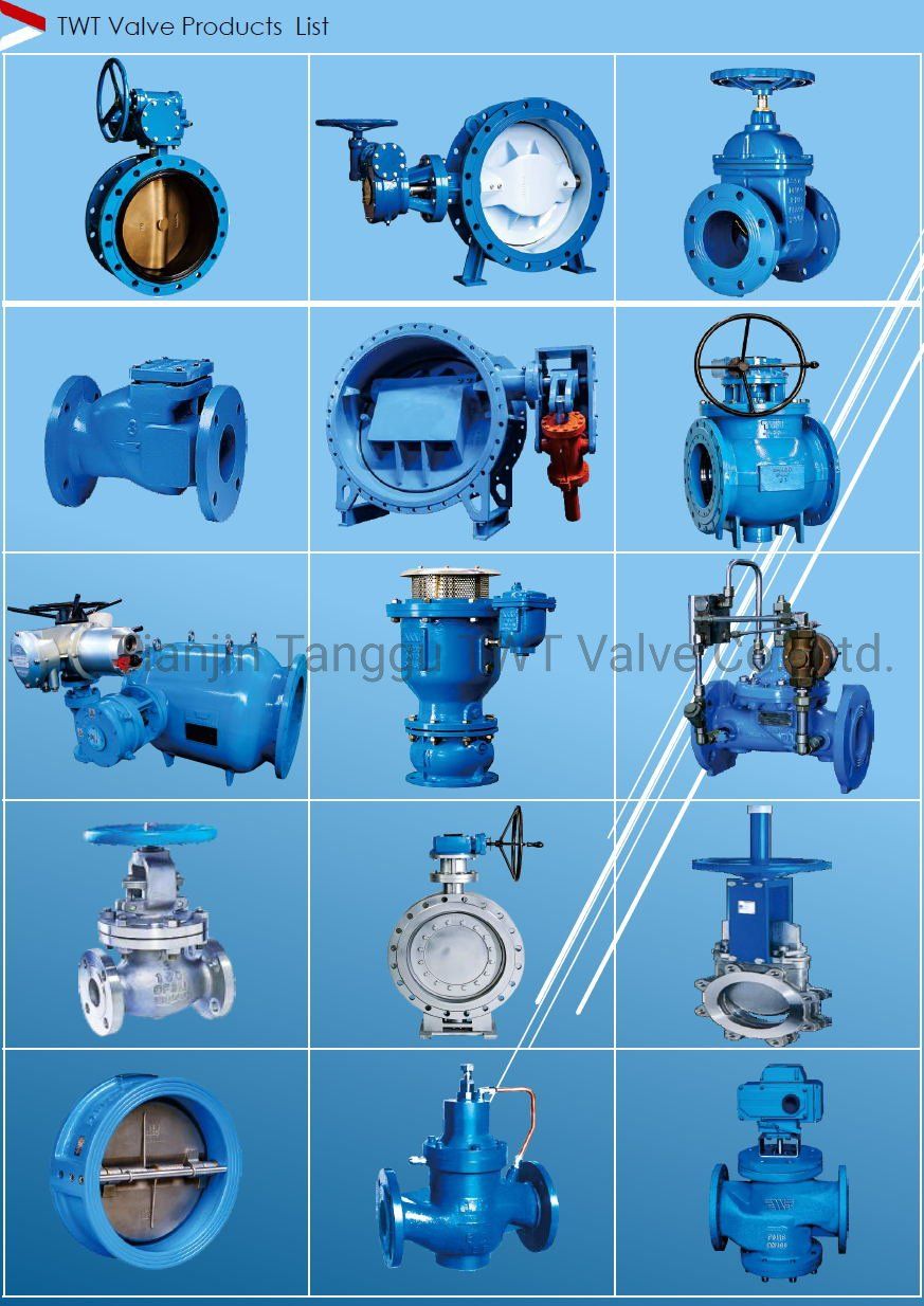Manual Ball Valve, Wcb Worm Gear Eccentric Ball Valve