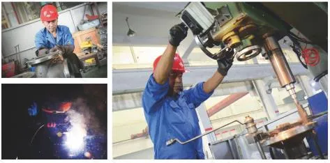 Manual Lining Butterfly Valve for Industrial Usage Price