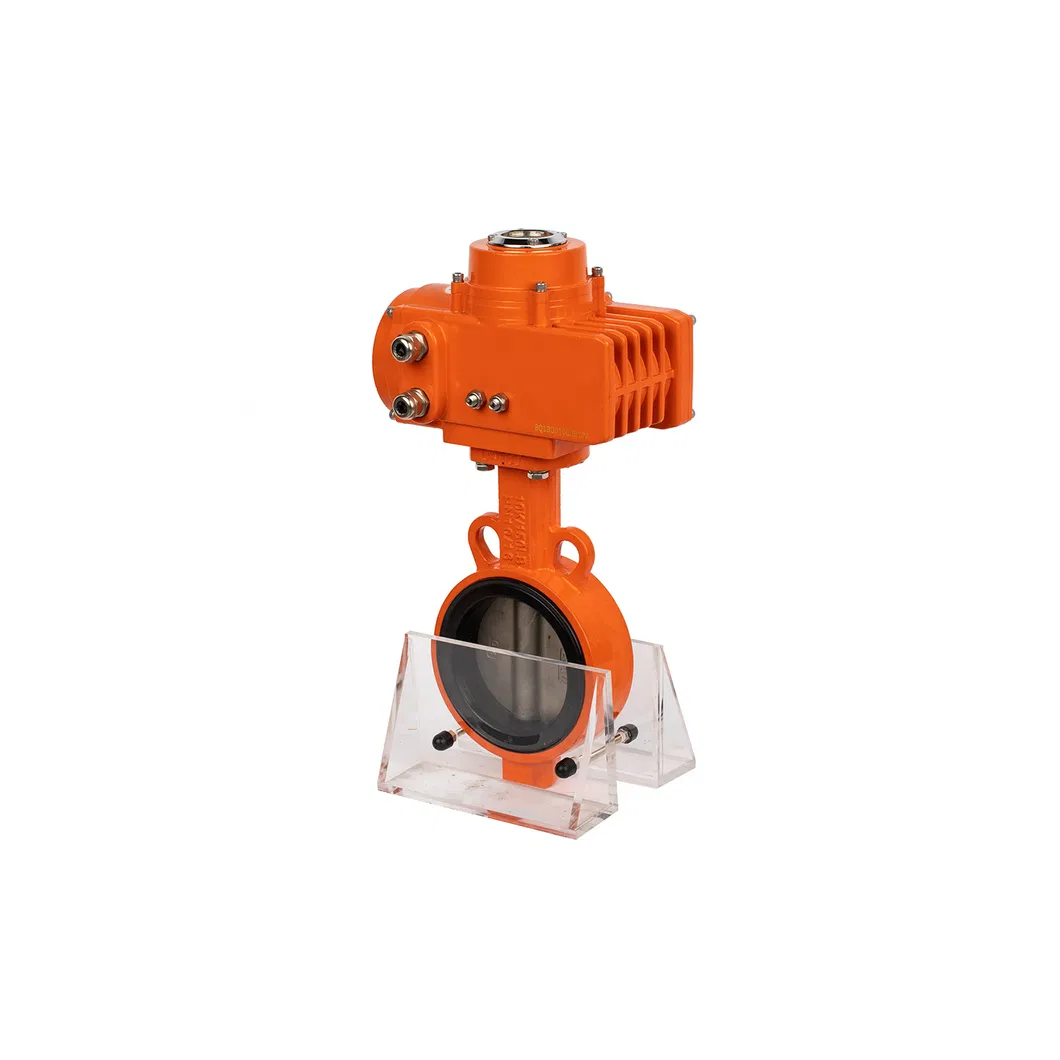 Manual Lining Butterfly Valve for Industrial Usage Price