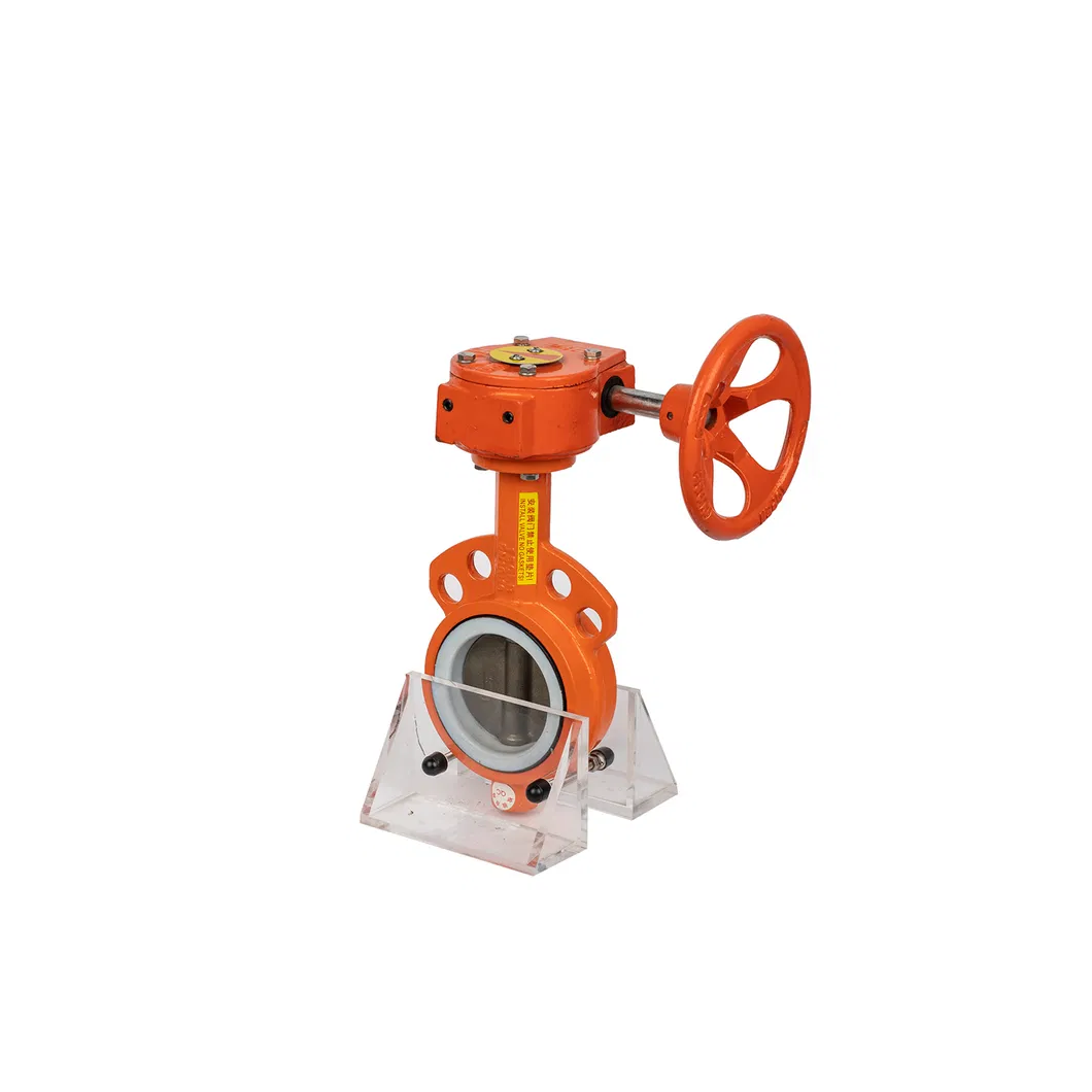 Manual Lining Butterfly Valve for Industrial Usage Price