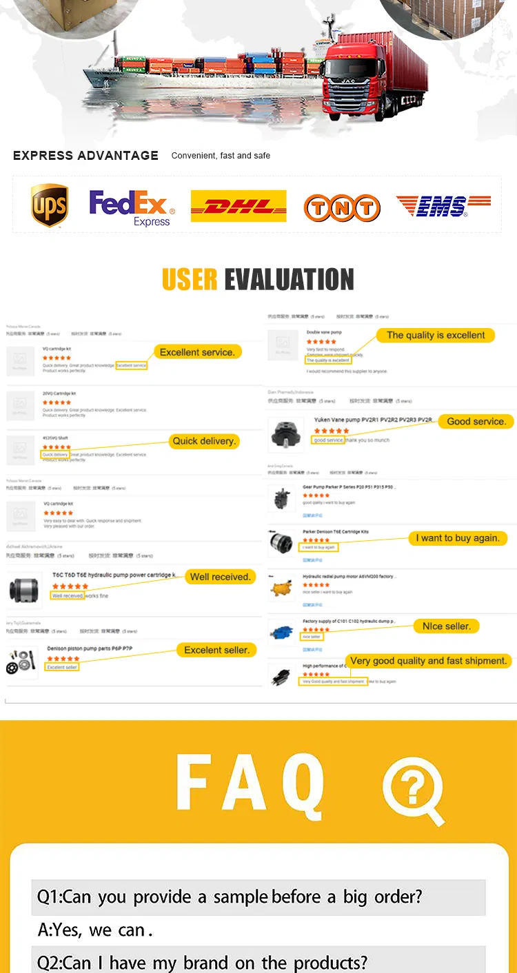 Manual Operated Directional Control Valve Dmt-01 Dmt-02 Dmt-03 Dmt01 Dmt02 Dmt03