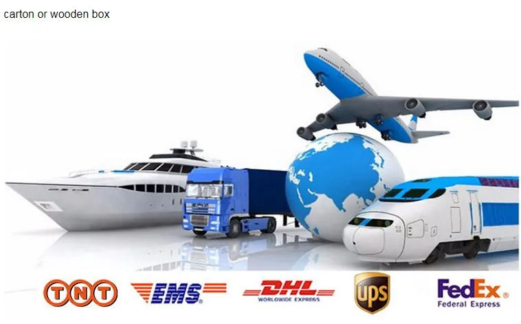 Natural Gas Solenoid Auto Control Valve for Boiler Gas Burner