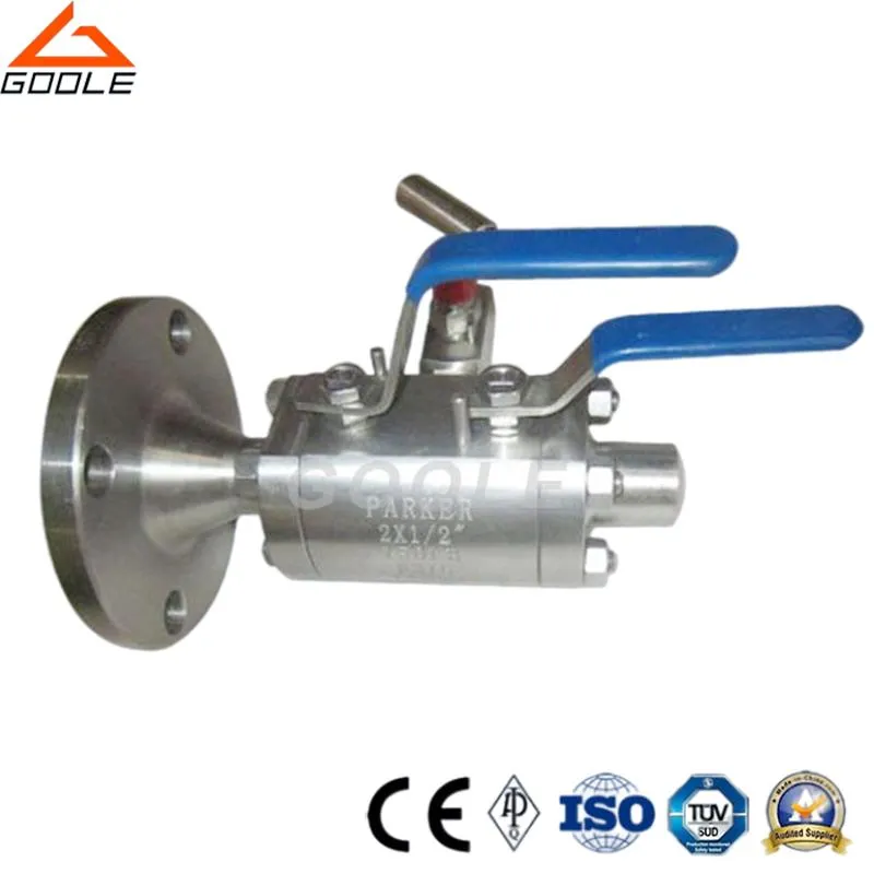 One Piece Body Flanged and Threaded Dbb Ball Valve