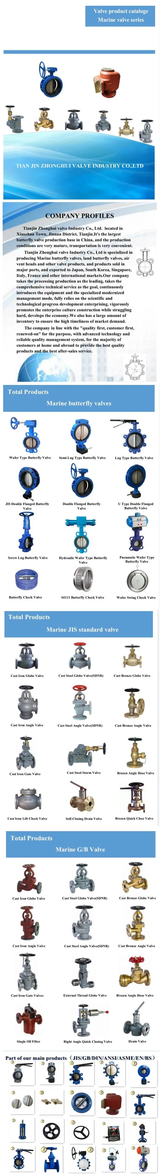 Pn16 Carbon Steel Di Viton Seated Lug Butterfly Valve