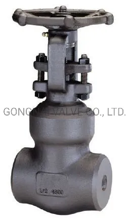 Professional Industrial Valve Manufacturer Forged Steel Globe Valve DN40 50 300lb