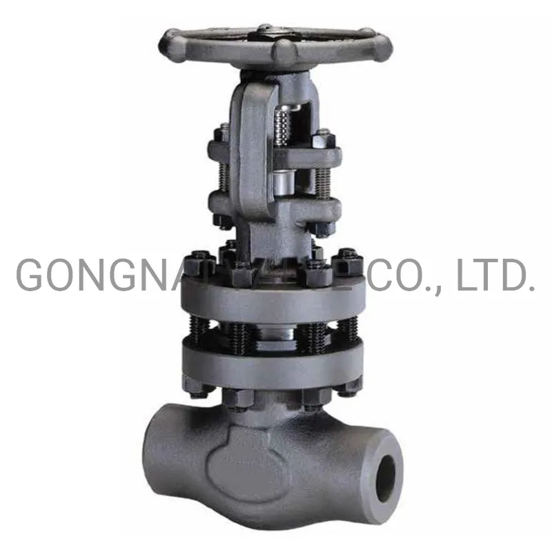 Professional Industrial Valve Manufacturer Forged Steel Globe Valve DN40 50 300lb