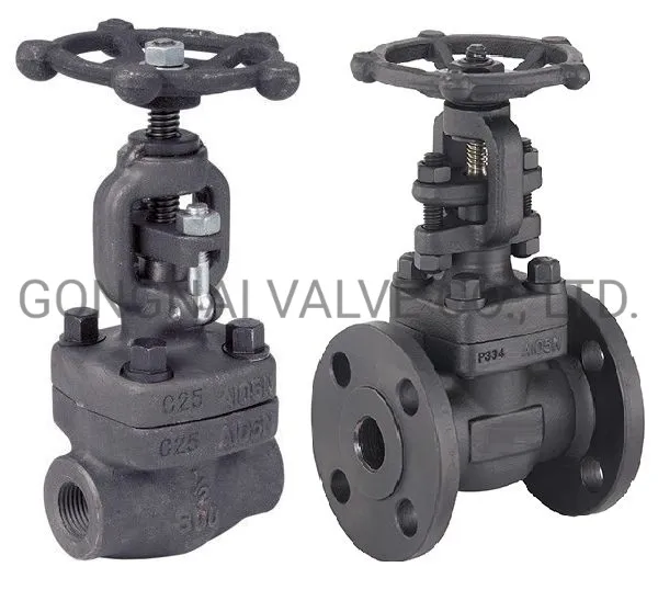 Professional Industrial Valve Manufacturer Forged Steel Globe Valve DN40 50 300lb