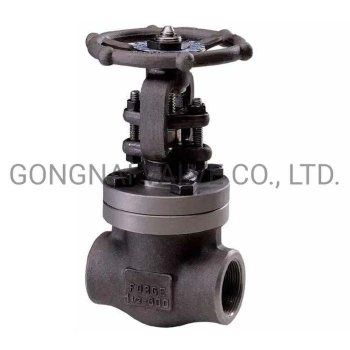 Professional Industrial Valve Manufacturer Forged Steel Globe Valve DN40 50 300lb