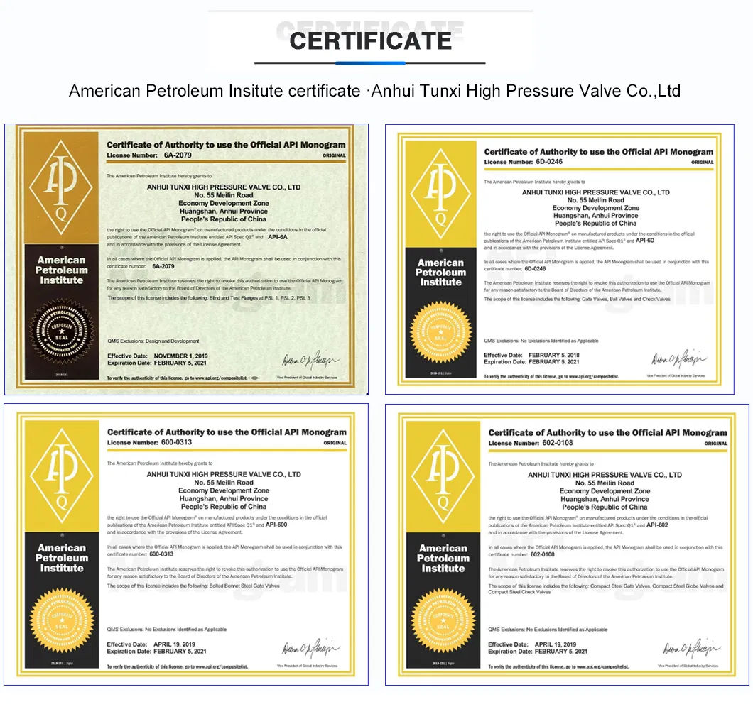 Professional Industrial Valve Stainless Steel F11 DN20 High Temperature Flanged API Gate Valve