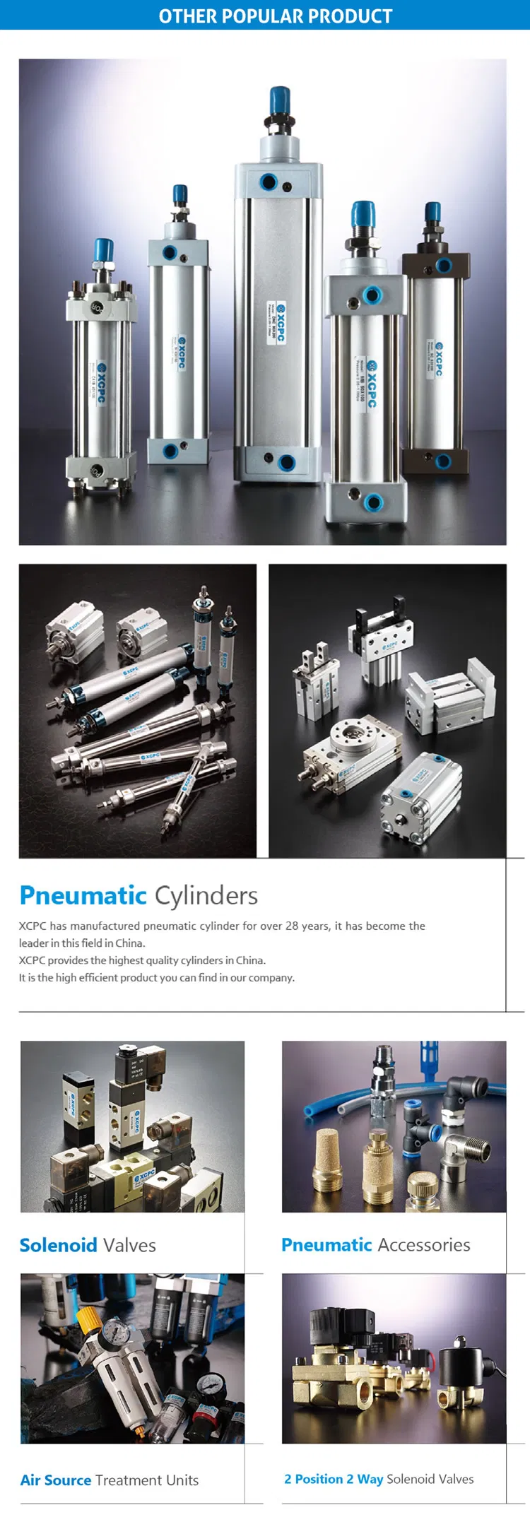 Professional Pneumatic Right Angle Pulse Valve