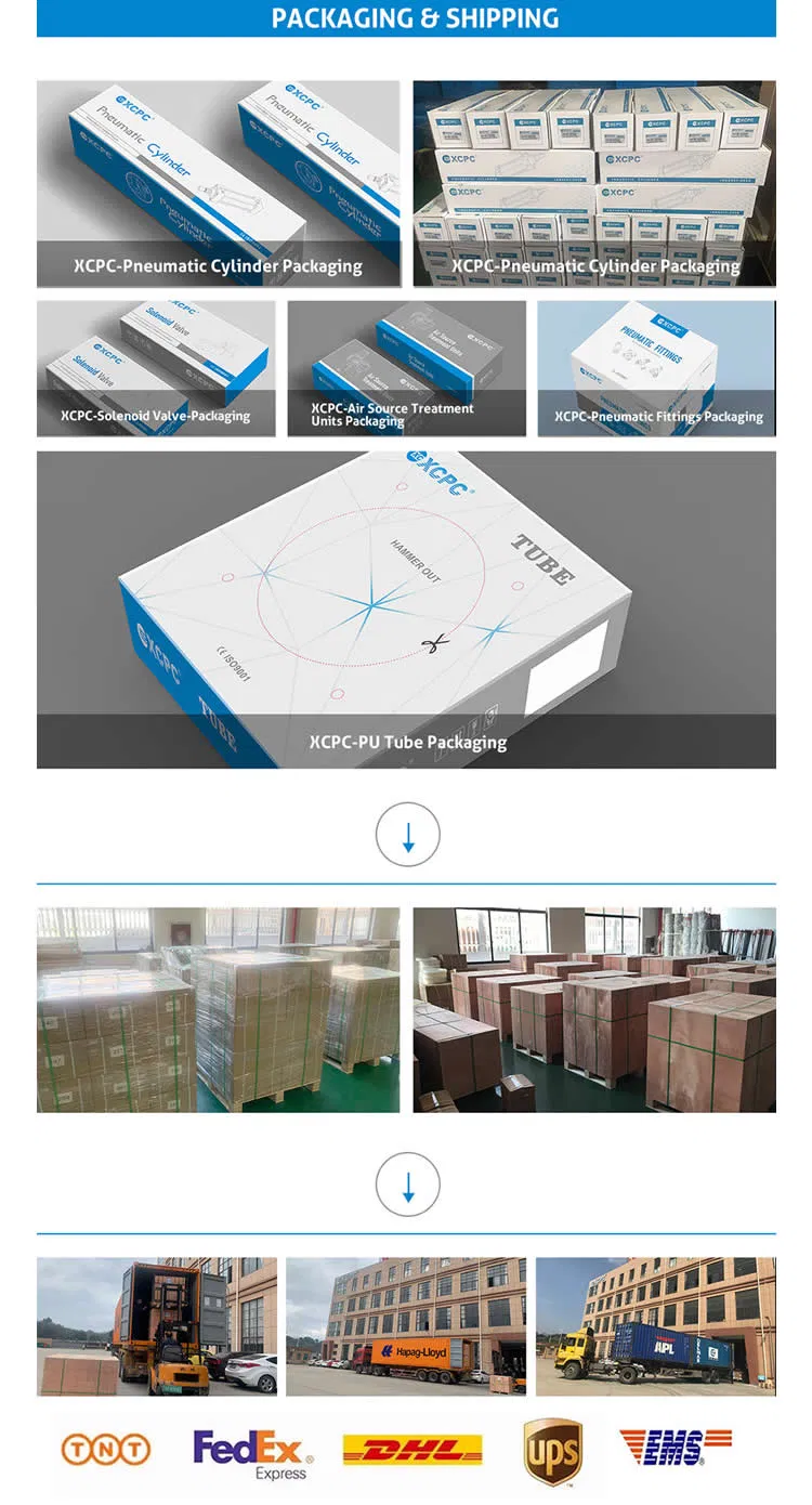 Professional Pneumatic Right Angle Pulse Valve