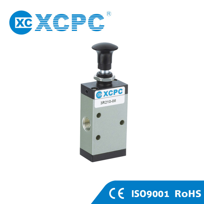 Professional Pneumatic Right Angle Pulse Valve