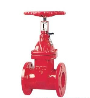 Resilient Seated Gate Valve (rising stem)