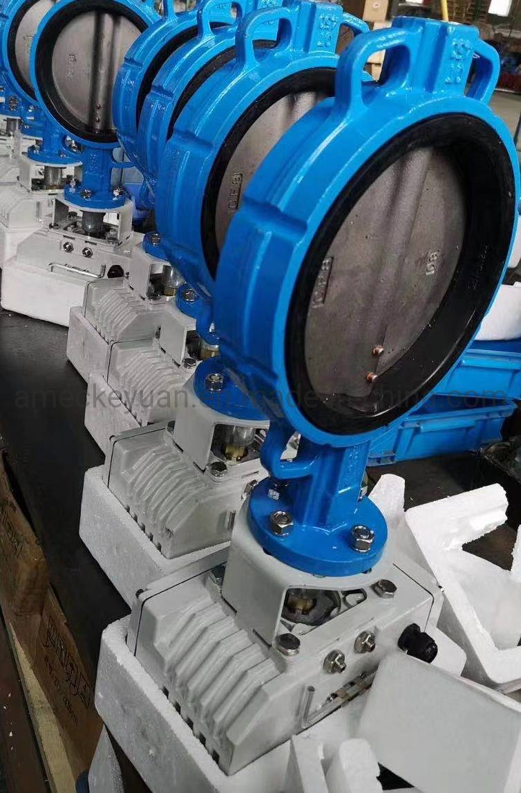 Resilient Seated PTFE EPDM NBR Rubber Center Lined Butterfly Valve