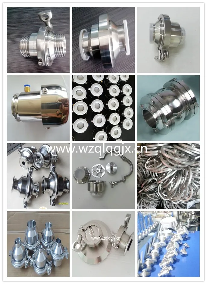 Sanitary Valve Customed 2′′ Check Valve, Ball Valve, Butterfly Valve