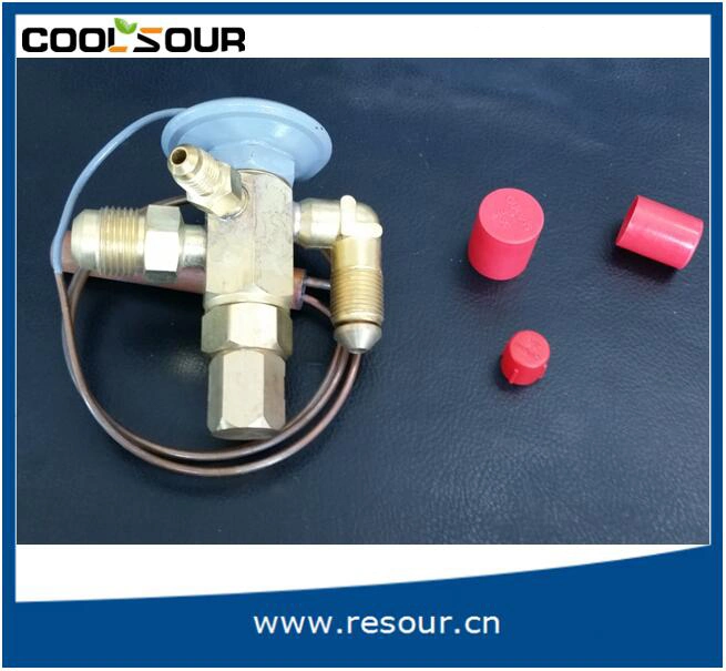 Sporlan Type Refrigerant Expansion Valve for Air Conditioner Fve-1-C Fve-1-Cp100