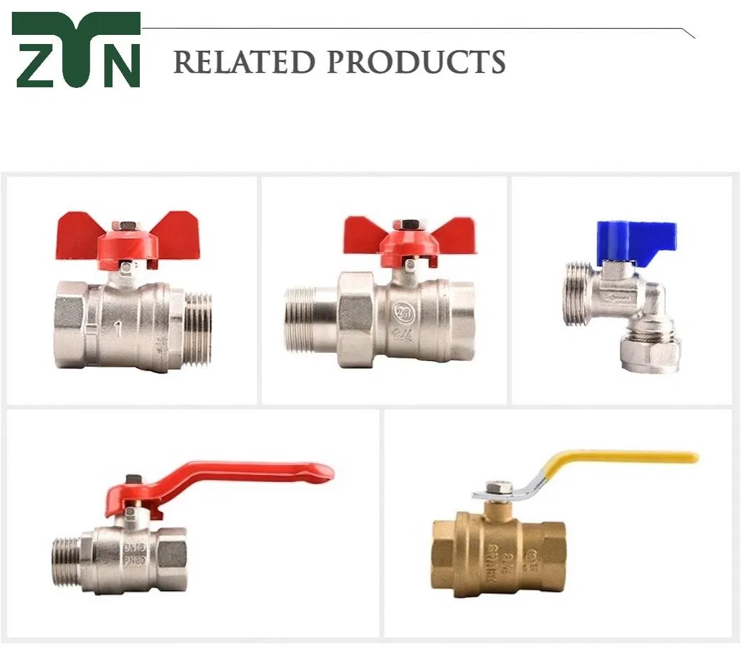 Stainless Steel Ballcock Red Copper Ball Floating Valve with Copper Float