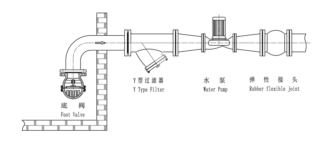 Stainless Steel Foot Valve