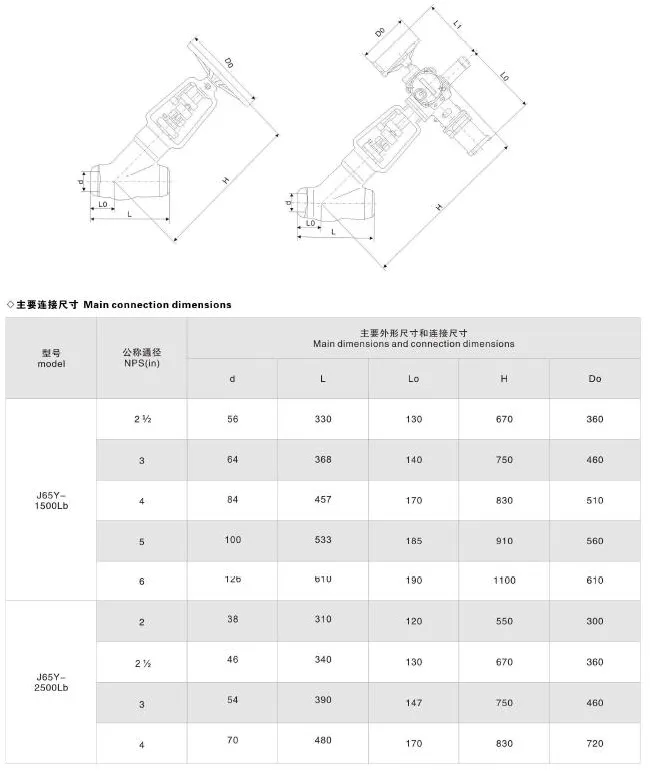 Stainless Steel Y Type Forged Globe Valve for Russian Petrochemical Plant