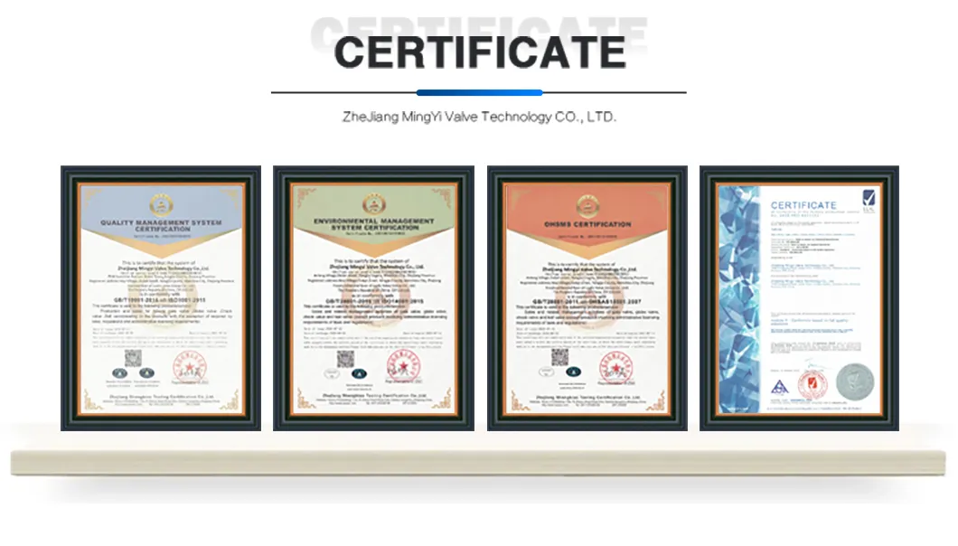 Ta2 Titanium Alloy Forging Lift Check Valve Welding Check Valve