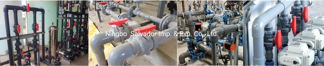 True Union Plastic Pph PVC Check Valve for Water Supply