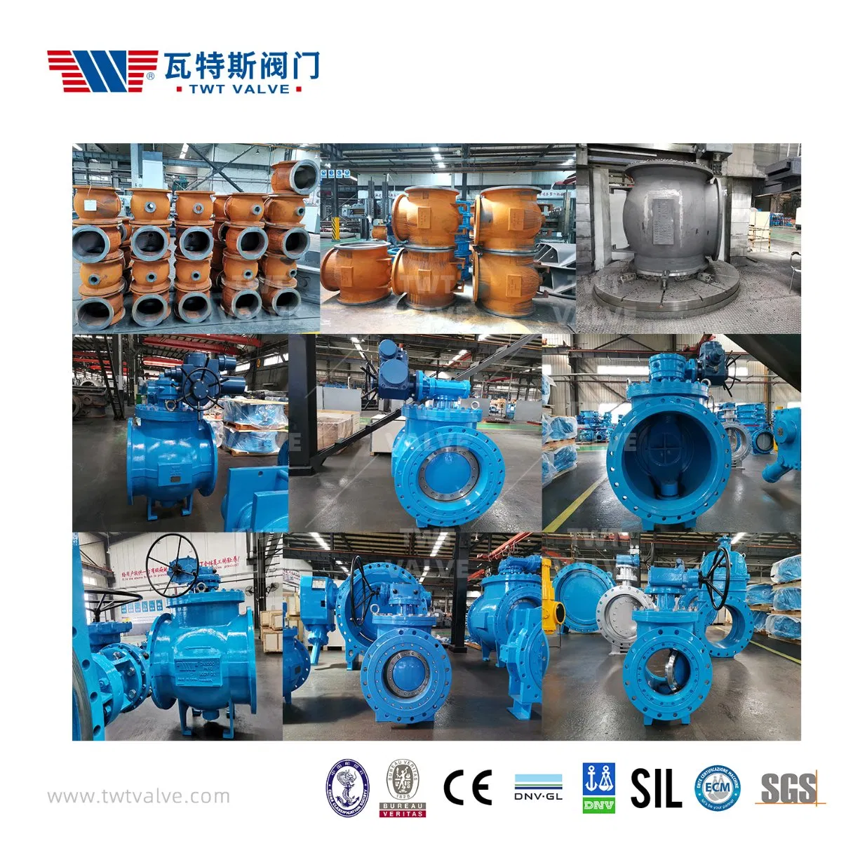 Twt China Valve Factory Gate Valve/Needle Valve/Eccentric Semi Ball Valve/Air Relief Valve/Butterfly Valve