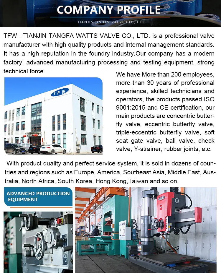 Valvole a Farfalle /Butterfly Valve