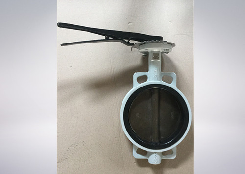 Viton Lined Butterfly Valve Pn16
